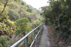 hk_trail_7_10