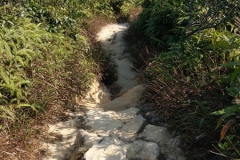 hk_trail_5_08