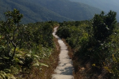 hk_trail_5_12