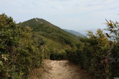 hk_trail_8_10