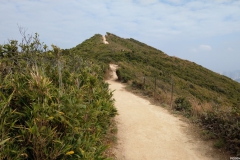 hk_trail_8_13