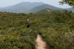 hk_trail_8_18