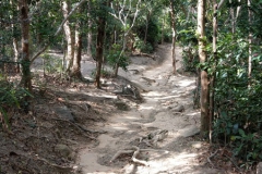 hk_trail_8_21