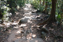 hk_trail_8_30