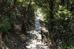 hk_trail_1_10