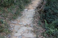 hk_trail_1_16