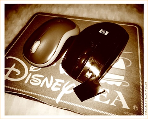 new_mouse