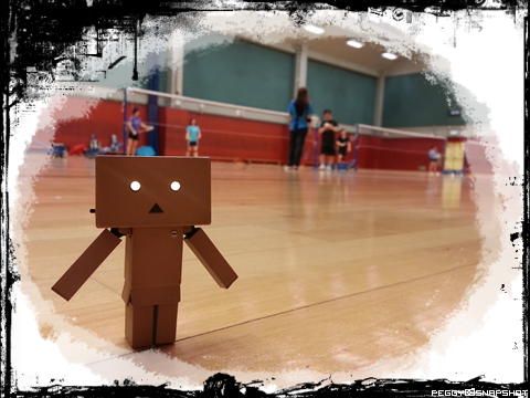 danboard_badminton