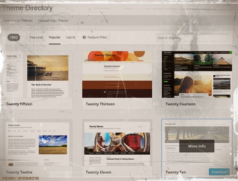 wordpress_theme