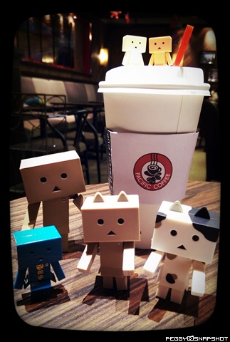 danboard_pacific_coffee_25dec2015